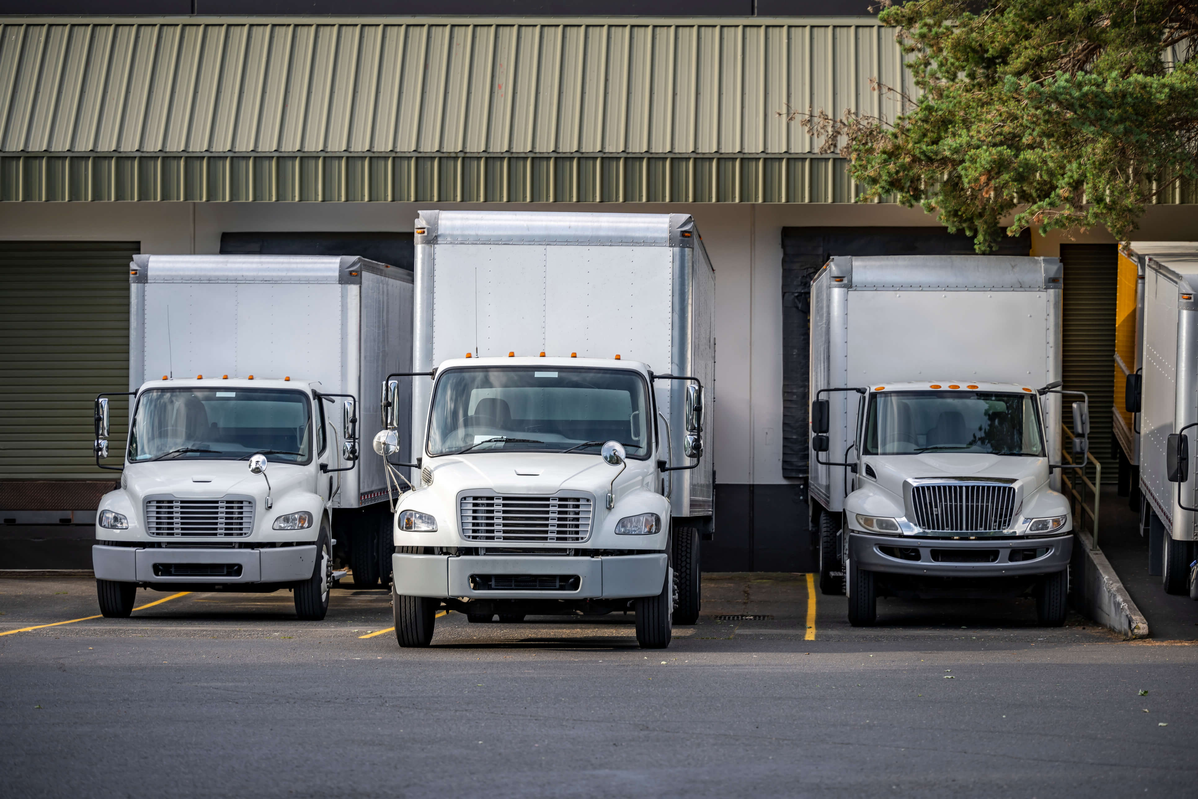 Trucks content-image